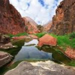 Untitled design (16)